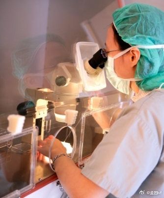 帮别人借卵试管代怀【借卵试管代怀：助人为乐，生命的奇迹】