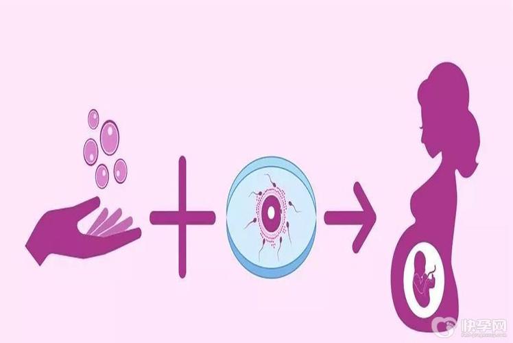 找借卵试管代怀_借卵试管代怀：帮助您实现生育梦想