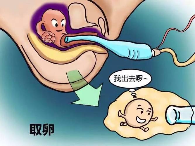 医院借卵试管代怀可靠吗_医院借卵试管代怀可靠吗?需了解的关键信息