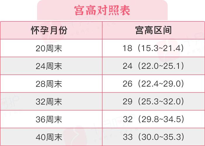 借卵试管代怀需要多少费用-借卵试管代怀:费用问题解析