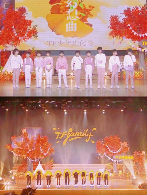 上海三代供卵试管套餐(上海三代供卵试管套餐:家族延续的选择)