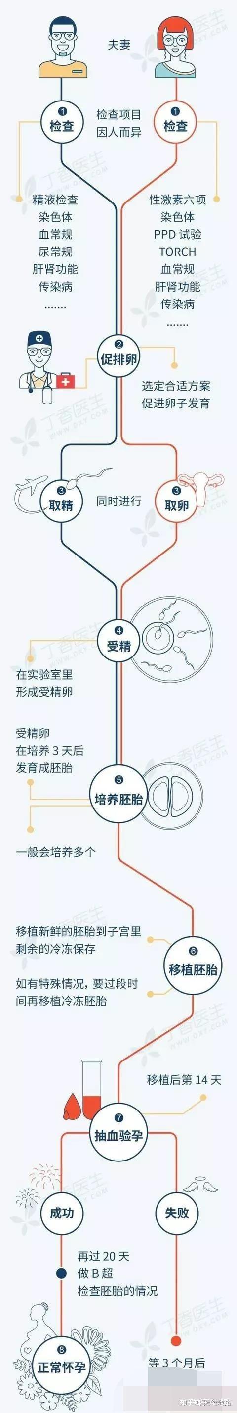 借卵合法_借卵合法:权益保障与法律风险分析